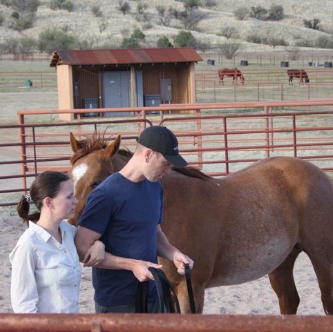 Equus Coaching for Couples
