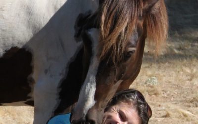 Looking at Fear Through the Eyes of Horses