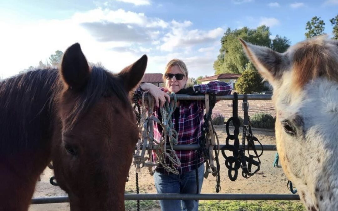 Ten Lessons Horses Have Taught Me About Leadership and Life