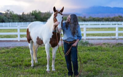 Horses Brought Me Home To Myself