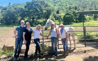From Insight to Becoming: The Power of the Herd